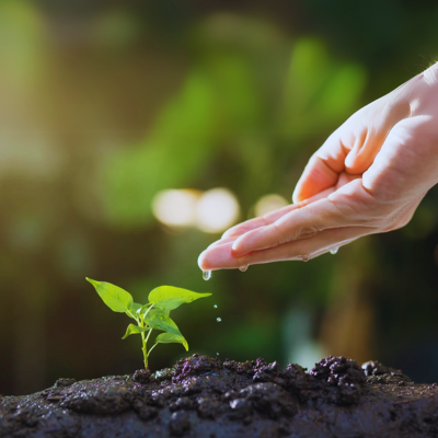 Coaching de Vida y Marca Personal